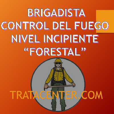 BRIGADISTA BASICO FORESTAL